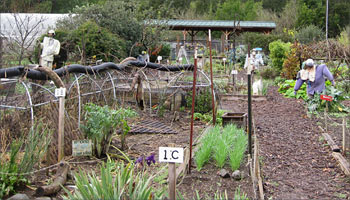 edu-garden