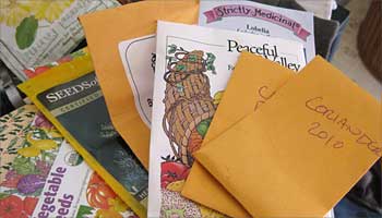seed-packets-350